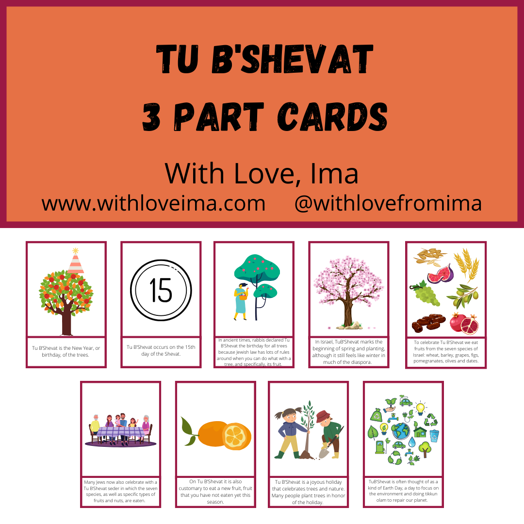 67b86a8d342ac57cc6dbae29_tu-b-shevat-3-part-cards-cover_1756768459935.png